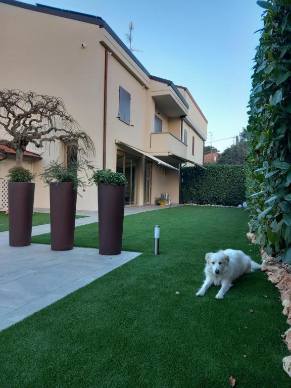 un chien blanc couchant sur l'herbe devant une maison dans l'établissement Montevecchi13, à Imola