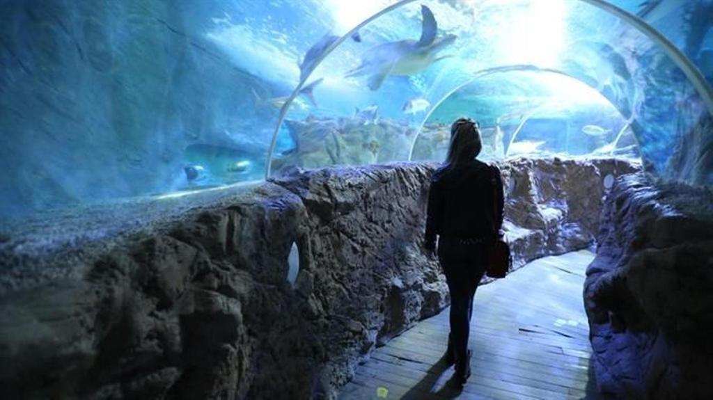 Kép Penthouse lumineux avec piscine szállásáról Torremolinosban a galériában