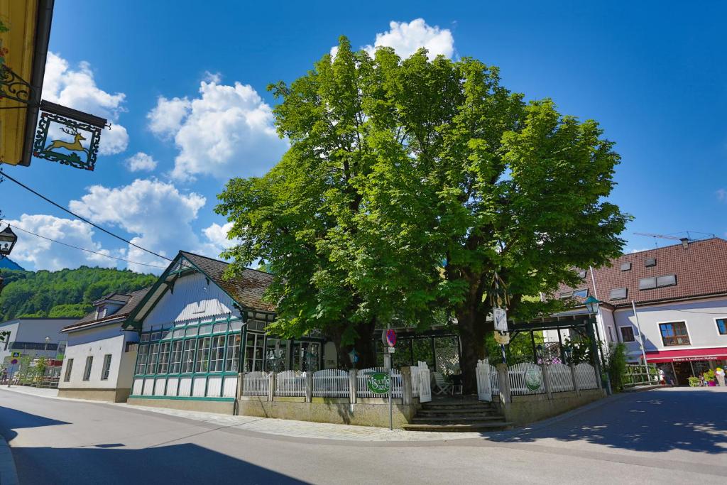 Okolí apartmánu