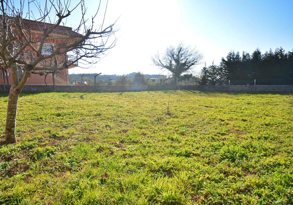 Zahrada ubytování Casa Felisa - Vilagarcía de Arousa