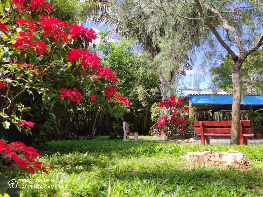 a park with a red bench and red flowers at Mandala Camping - Oferecemos um espaço para sua barraca in Alto Paraíso de Goiás