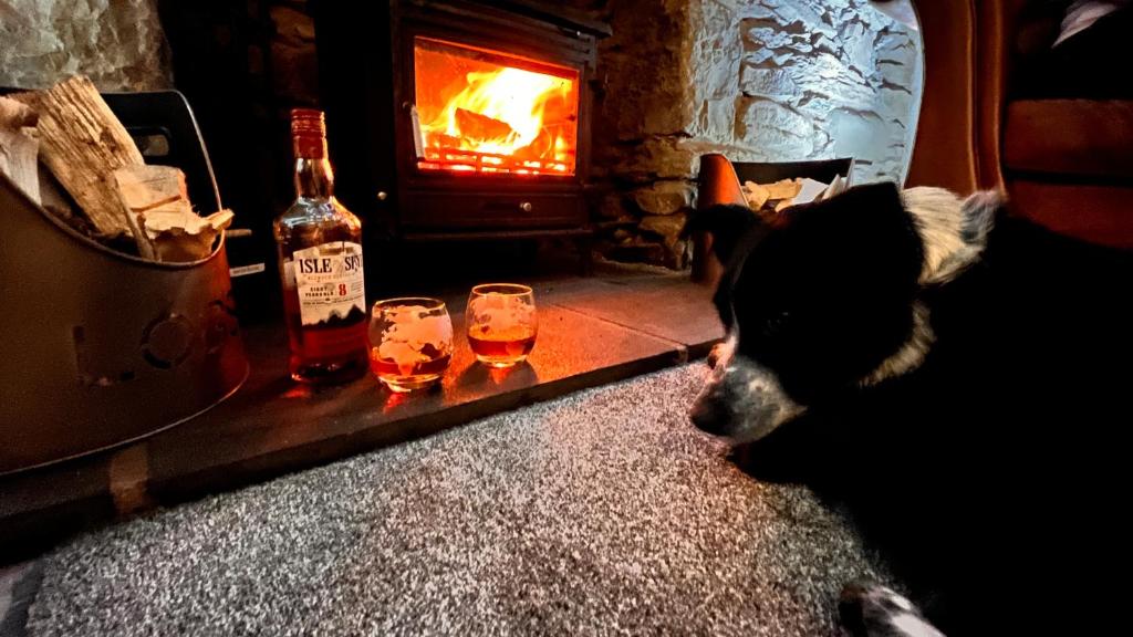 Domácí mazlíčci ubytovaní s hosty v ubytování Carnmhor, Isle of Skye - Stunning 242 year old cottage on its own sea shore!