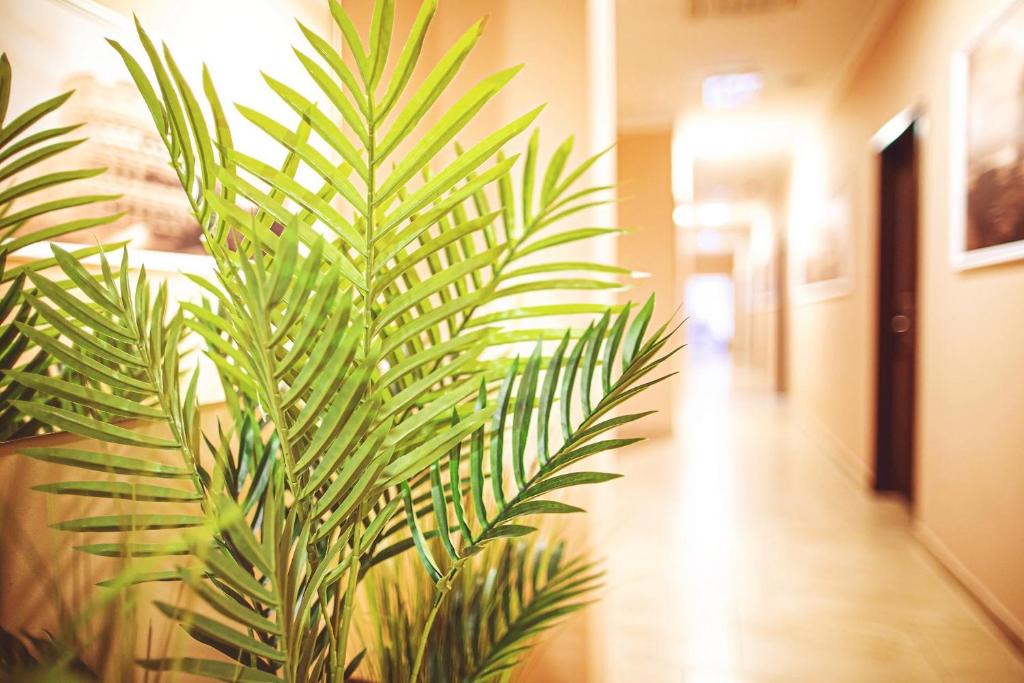 Fotografie z fotogalerie ubytování Forum Hotel v destinaci Szombathely