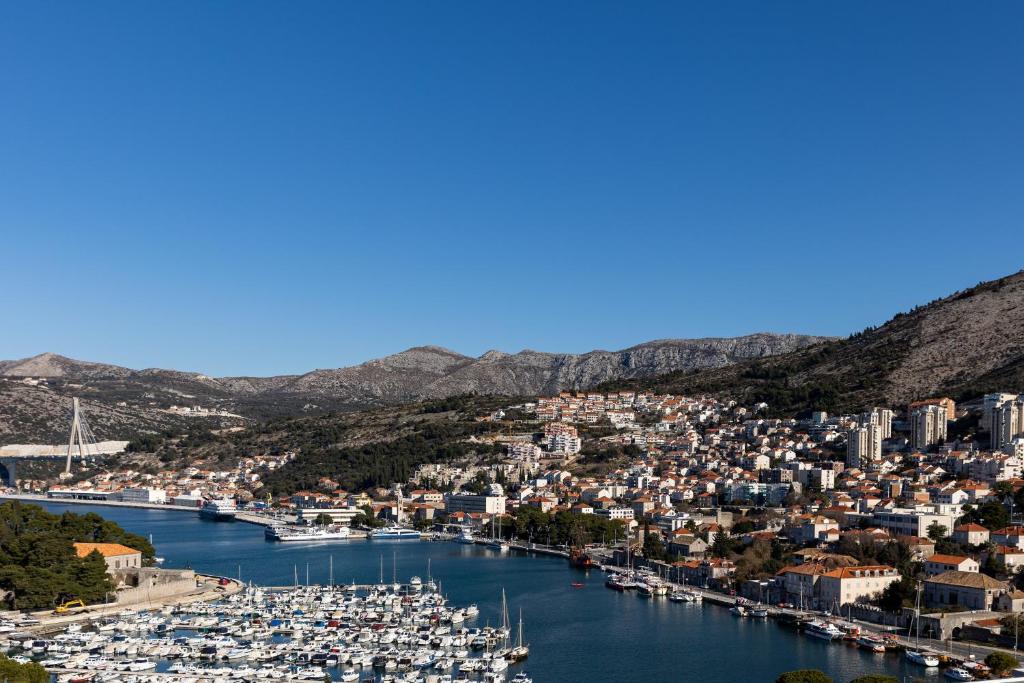 uma vista aérea de um porto com barcos em Denise em Dubrovnik