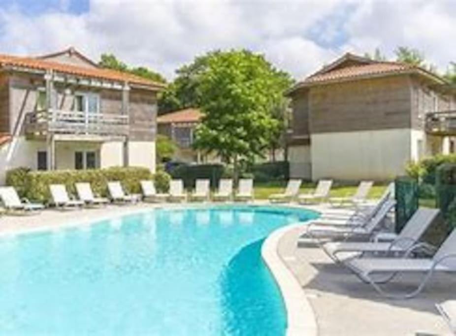 a swimming pool with lounge chairs and a house at La Cabane Aureilhan Appartement 6 pers avec piscine au bord du lac in Aureilhan