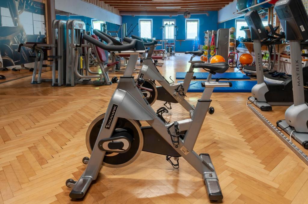 Fitness centrum a/nebo fitness zařízení v ubytování Moving Rooms