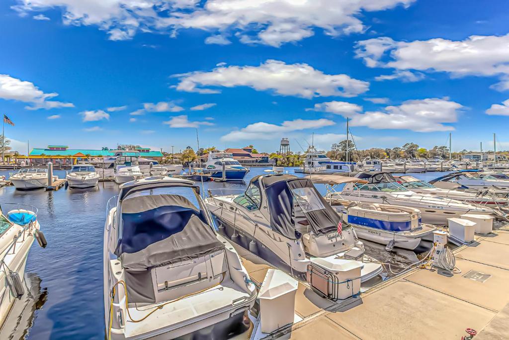 Barefoot Beach Retreat 1st Floor Marina, Dining, Entertainment at