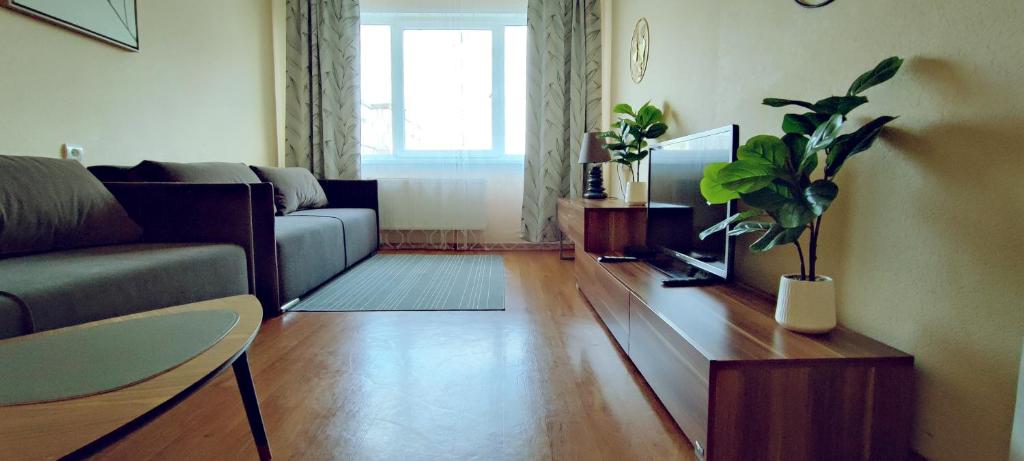 ein Wohnzimmer mit einem Sofa und einem TV in der Unterkunft Fruza family apartment in Riga in Riga