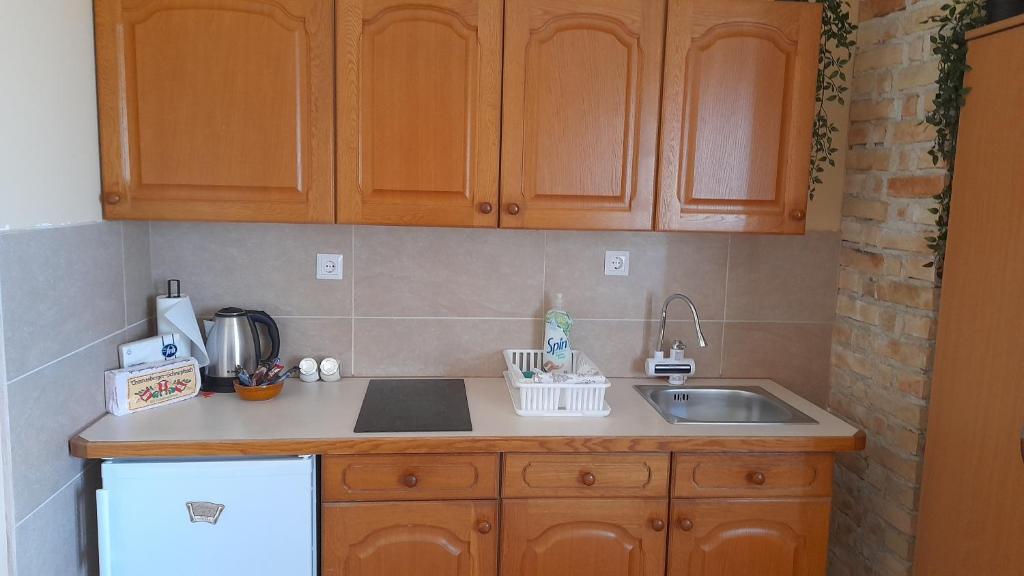 Una cocina o zona de cocina en Sun and river Apartments