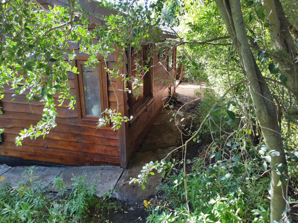 eine Holzhütte mit einem Fenster im Wald in der Unterkunft Cabaña en Bosque Nativo in San Carlos de Bariloche