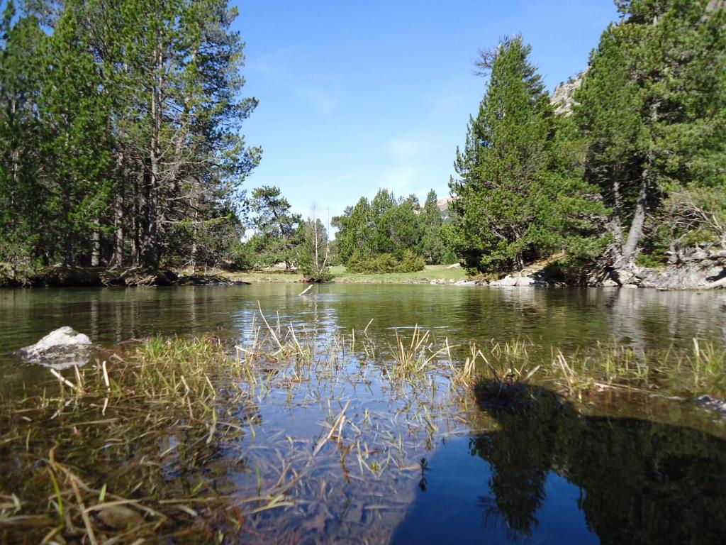 Příroda nedaleko apartmánu
