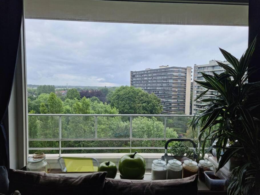 Business grade apartment, Antwerp (updated prices 2024)