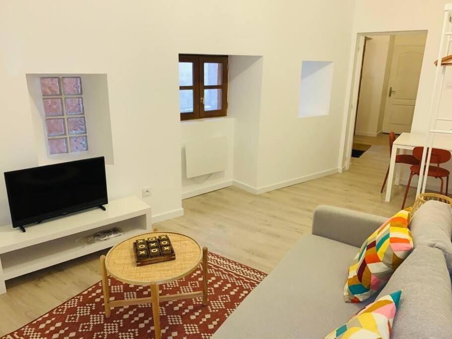 un salon avec un canapé et une télévision dans l'établissement Charmant Studio Hyper Centre Proche Cathédrale, à Albi