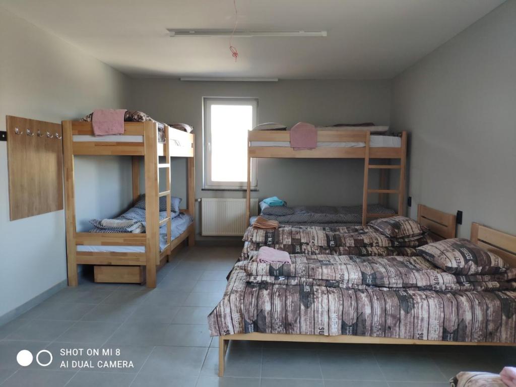 ムカチェヴォにあるHostel GREYの二段ベッド2台とベッド1台が備わる客室です。