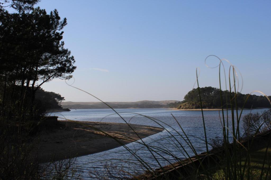 Przyroda w pobliżu tego apartamentu