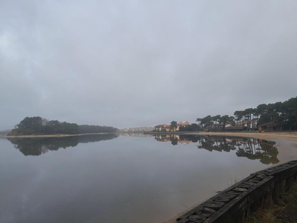 Przyroda w pobliżu tego apartamentu