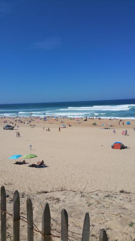Plaża w apartamencie lub w pobliżu