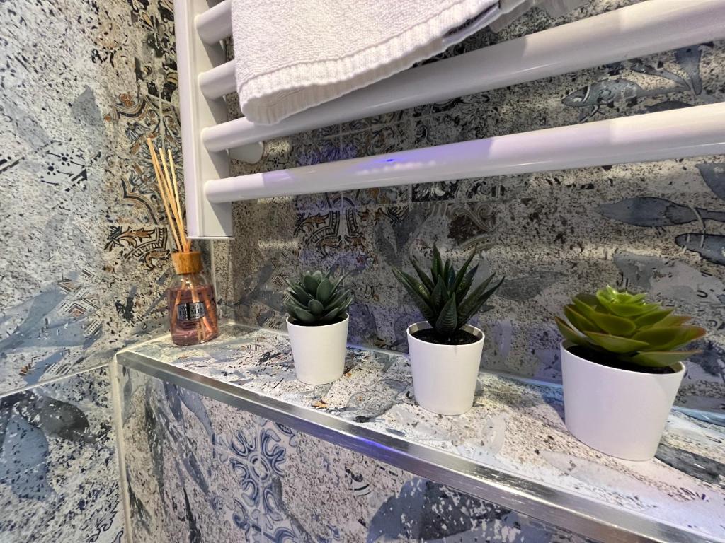 La Suite Deluxe Rooms & Apartments في بولونيا: ثلاثة خزاف من النباتات موجودة على رف زجاجي