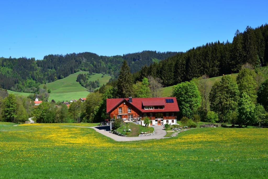 Ferienwohnung Böck, Wengen im Allgäu في Weitnau: منزل بسقف احمر في حقل اخضر