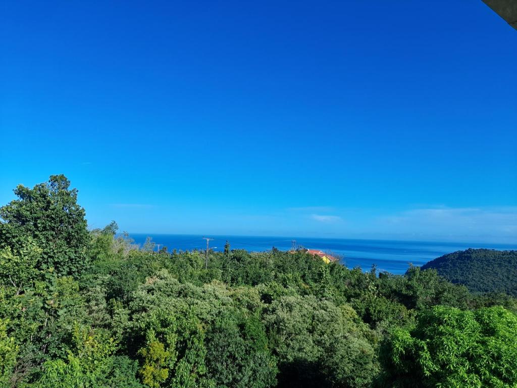 Fotografie z fotogalerie ubytování Eden Crest Villa v destinaci Anse La Raye