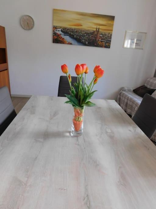 Fotografie z fotogalerie ubytování Le Giare House v destinaci Grezzana
