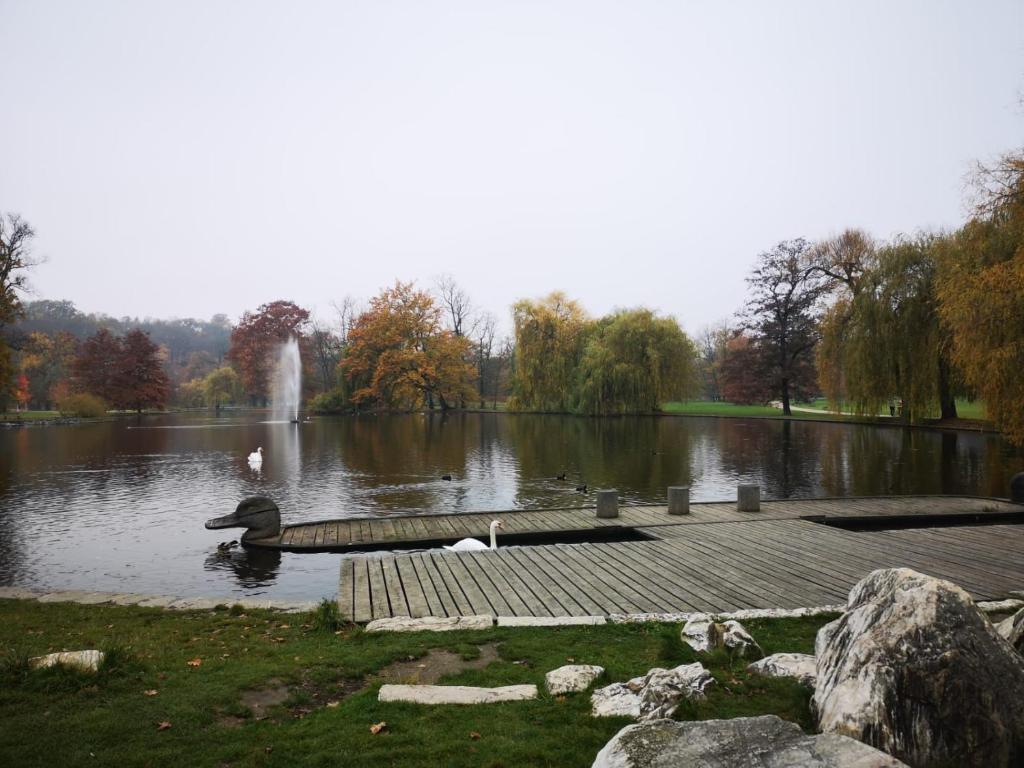 Loodusmaastik apartemendi lähedal