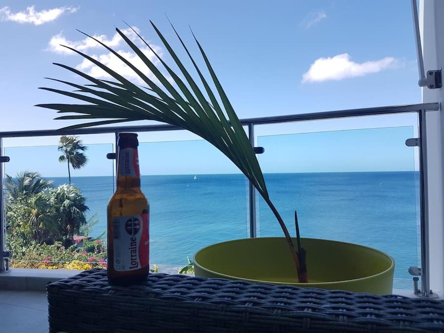 uma garrafa de cerveja sentada ao lado de um vaso de planta em Superbe appartement vue mer - résidence de standing em Schœlcher