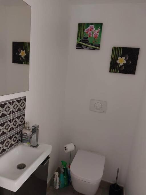 a bathroom with a white toilet and a sink at Superbe appartement vue mer - résidence de standing in Schœlcher