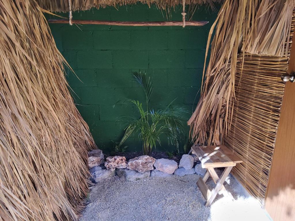 Fotografie z fotogalerie ubytování Hakuna Matata Glamping v destinaci Bacalar