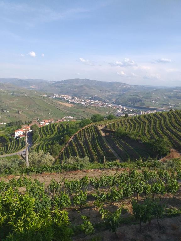 una vista aérea de un viñedo en las colinas en Retiro da Quinta do Souto en Peso da Régua