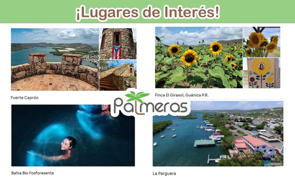 Fotografie z fotogalerie ubytování Palmeras Beach Apartments - Playa Santa v destinaci Guanica