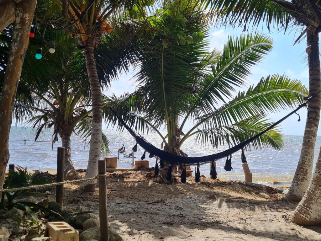 a hammock on a beach with palm trees at Hotel Maya Luna Adults Only in Mahahual