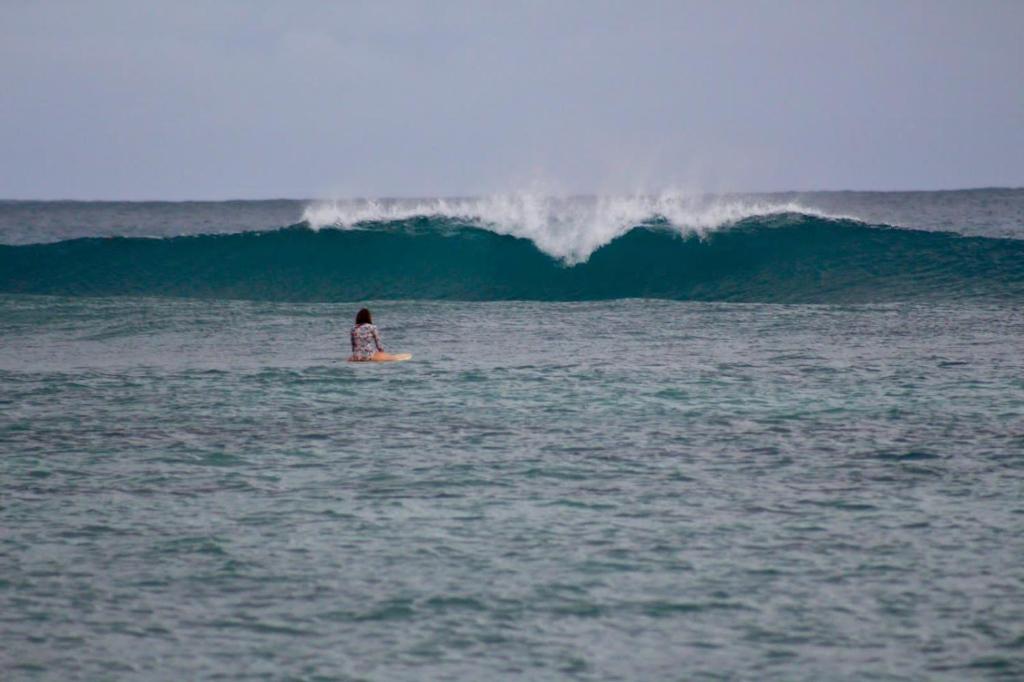 Eine Person, die eine Welle auf einem Surfbrett im Ozean reitet in der Unterkunft Anajawan Island Beachfront Resort in General Luna