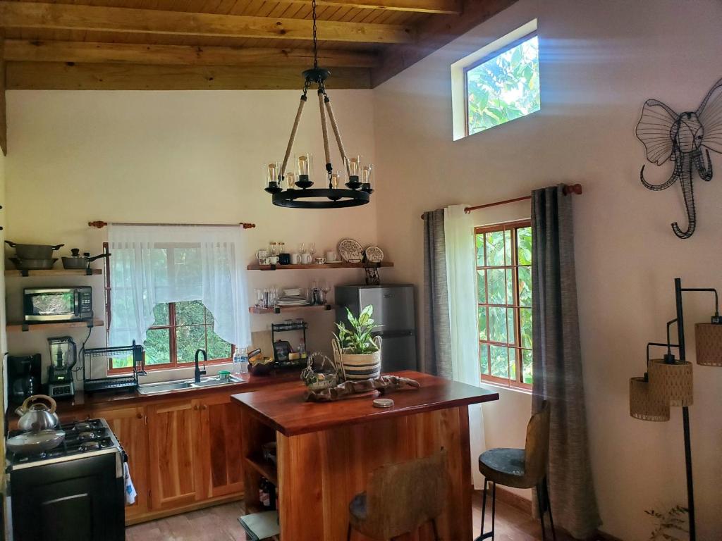 Kuchyň nebo kuchyňský kout v ubytování Ecoscape Jamaica - Cottages by the river