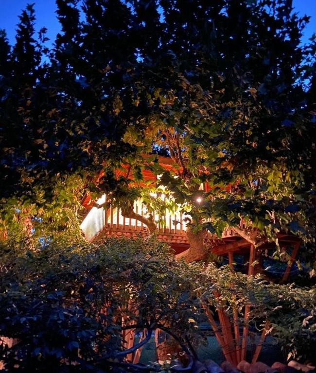 Zahrada ubytování Lake Como Dream Tree House