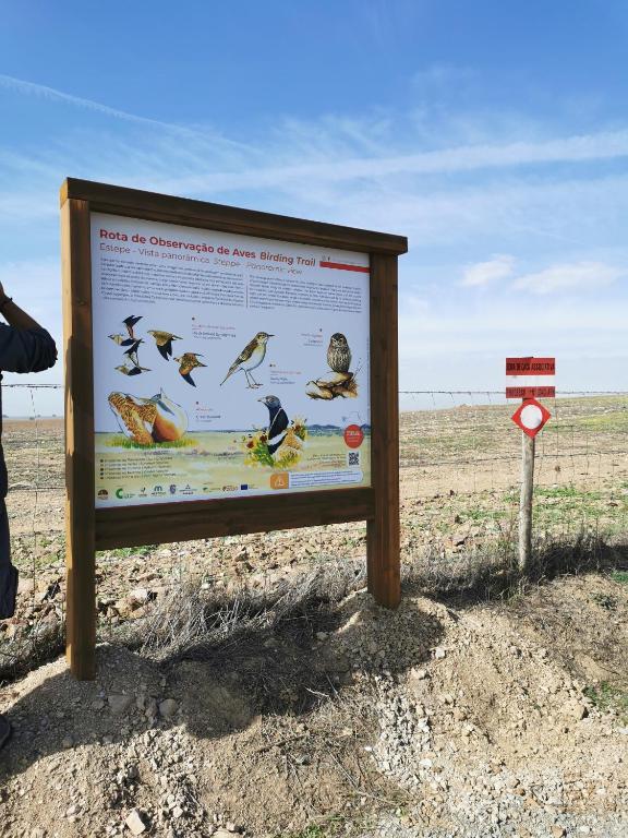 4Bs - Birds & Bicycles - 15