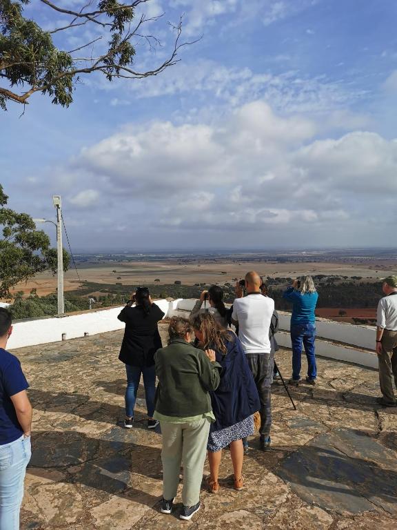 4Bs - Birds & Bicycles - 14