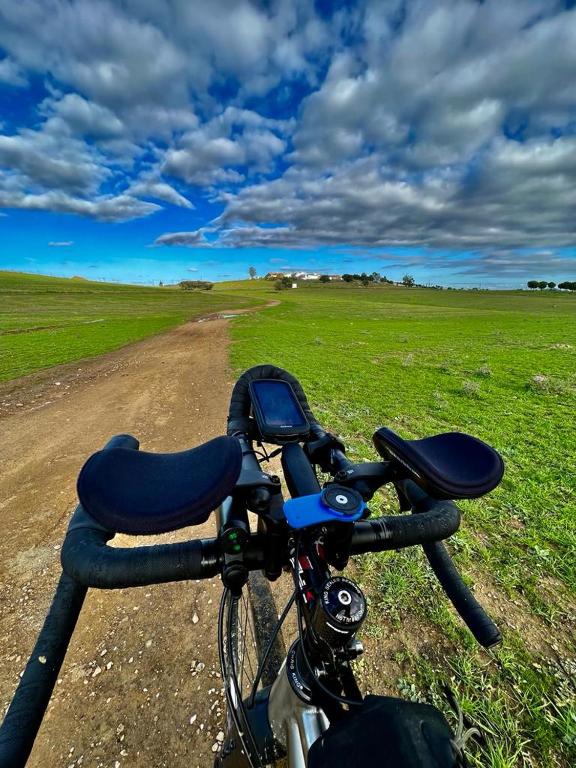 4Bs - Birds & Bicycles - 11