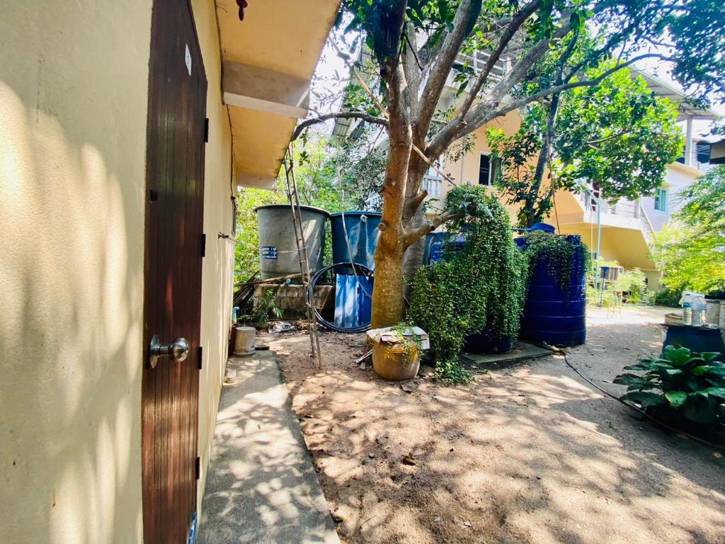 Zahrada ubytování TAMONWAN HOUSE Koh Tao