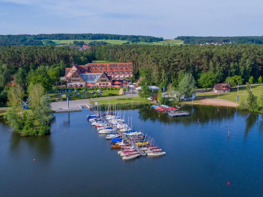 a group of boats are lined up in a harbor at Strandhotel Seehof in Langlau