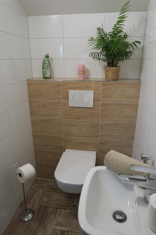 Koupelna v ubytování Apartmán U Josefa