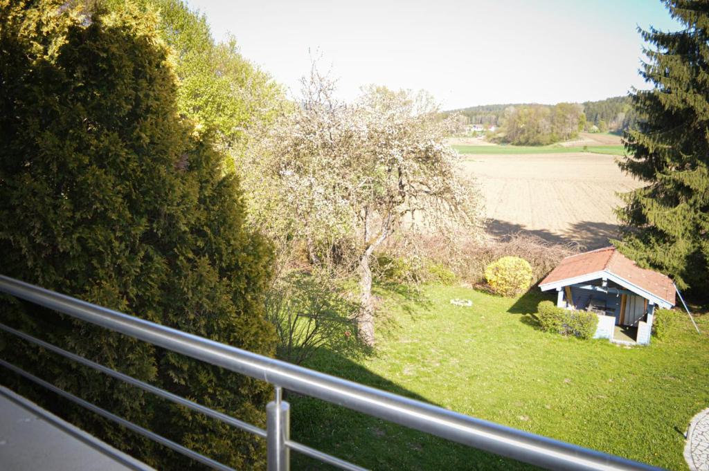 Příroda nedaleko bed and breakfast