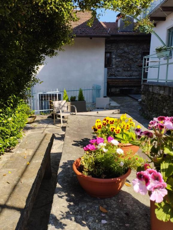Ogród w obiekcie B&B Il Poggiolo