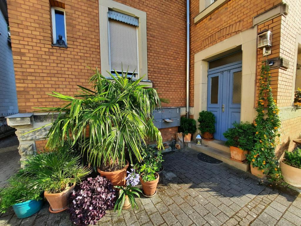 Zahrada ubytování Ferienwohnung An der Itz