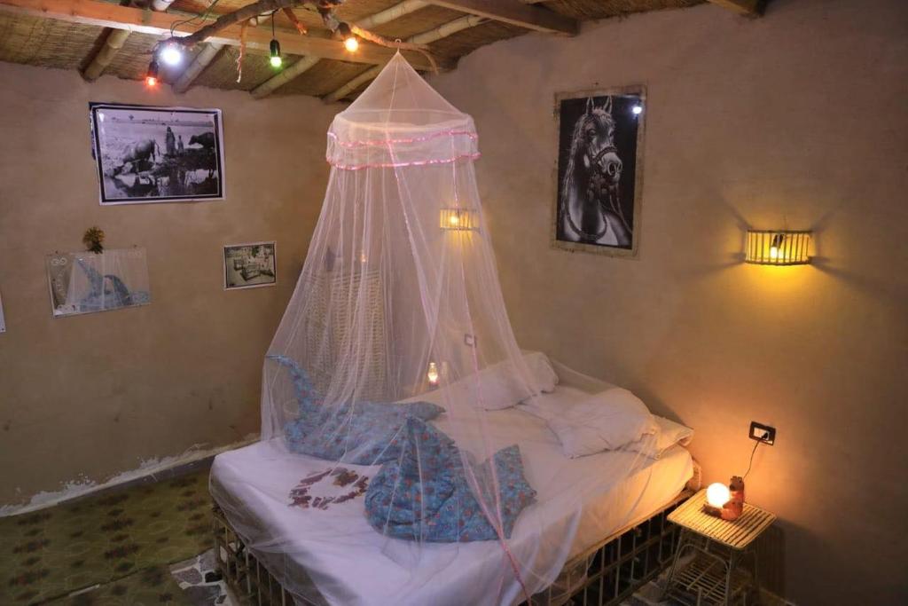 Bedouin Lodge Luxor - 8