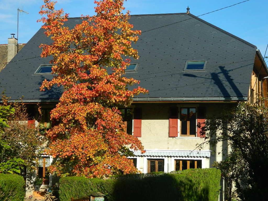 uma casa com uma árvore em frente em maison de marie em Doussard