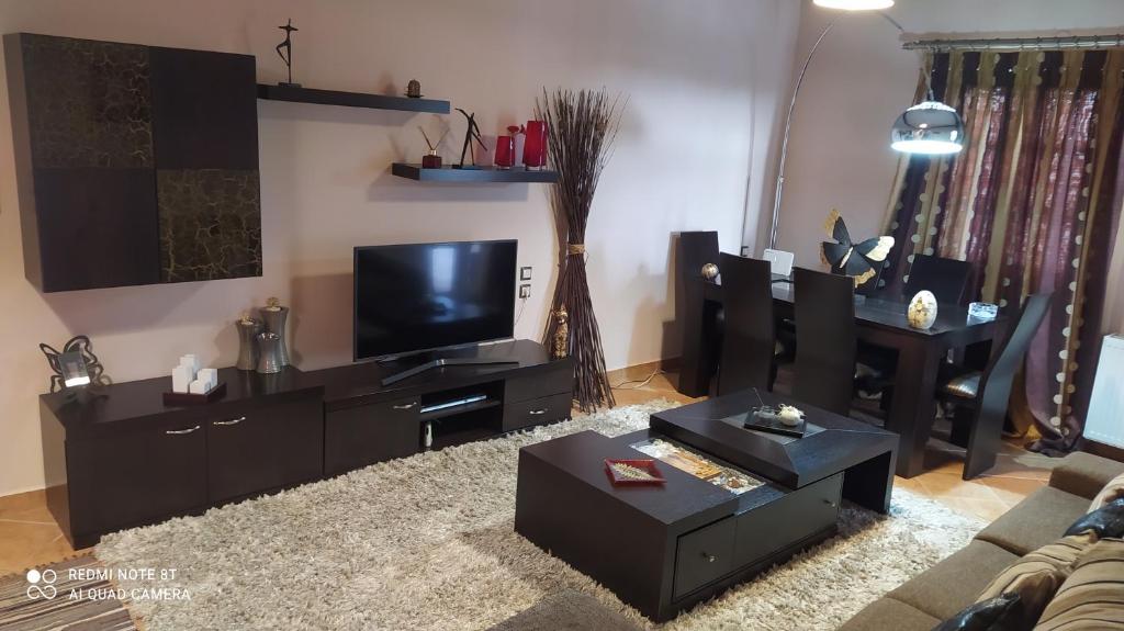 A television and/or entertainment centre at Theodora's home