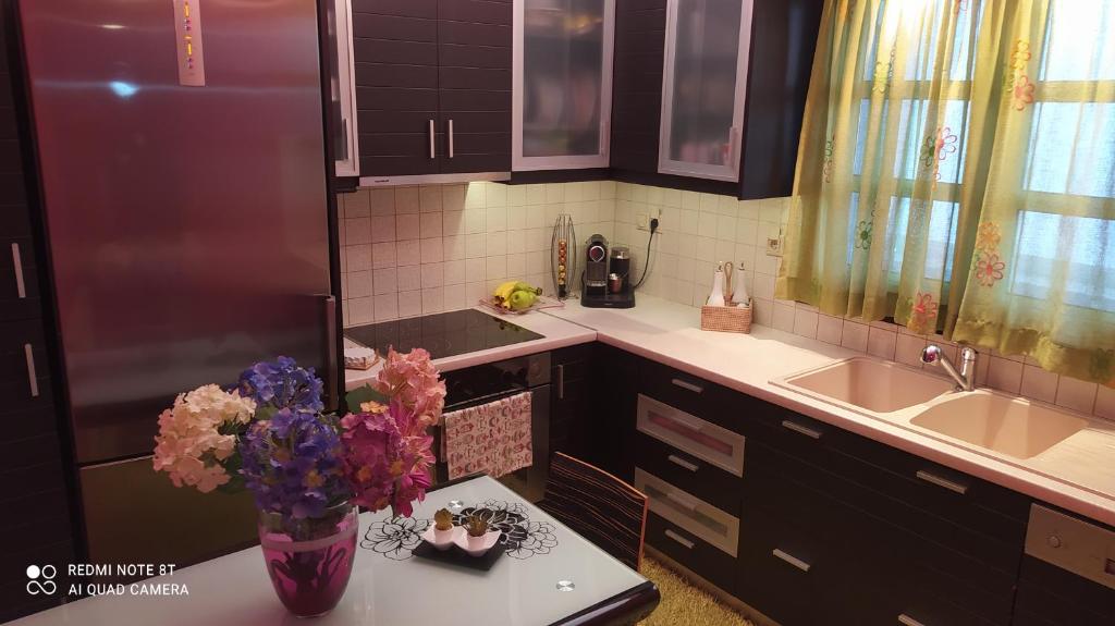 A kitchen or kitchenette at Theodora's home