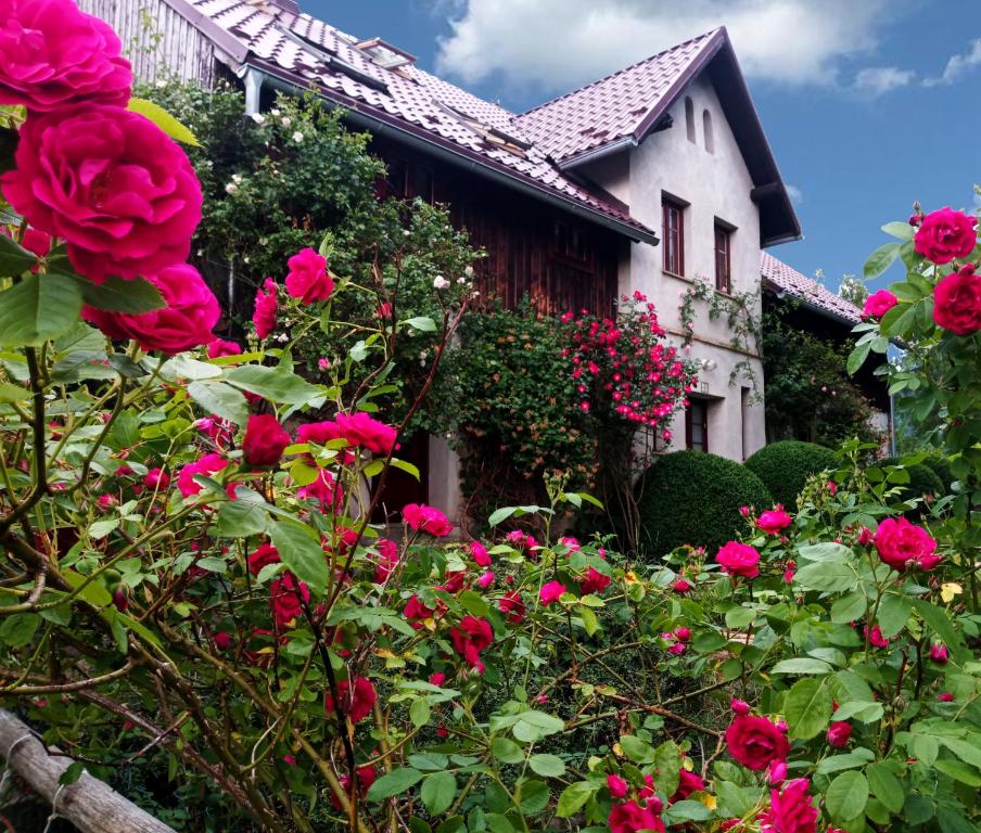 uma casa com rosas cor-de-rosa à frente. em Dom Geologa em Marianówka
