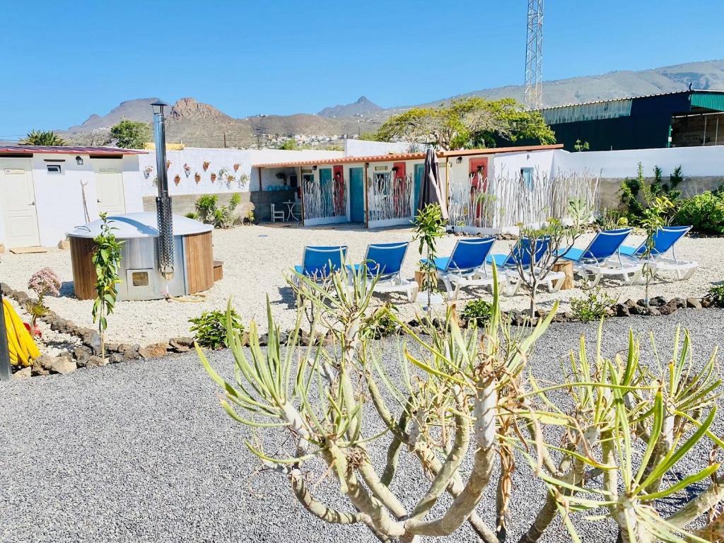 a group of chairs and cacti in a yard at Macaronesia Love Spa, sauna y piscina in Buzanada